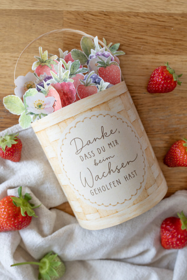 Duplo-Beeren-Wachsen3 Duplo-Beeren-Wachsen3