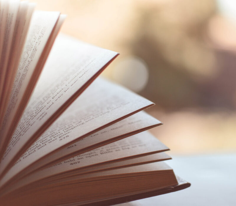 Bücher Neuerscheinungen im Januar 2017