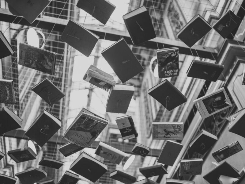 Bücher Neuerscheinungen im Februar 2017
