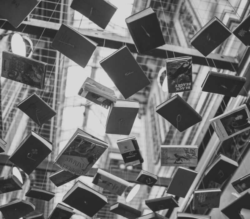 Bücher Neuerscheinungen im Februar 2017