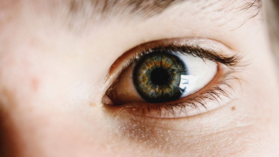 Das große Schutzprogramm für die Augen - Für die 5 häufigsten Beschwerden