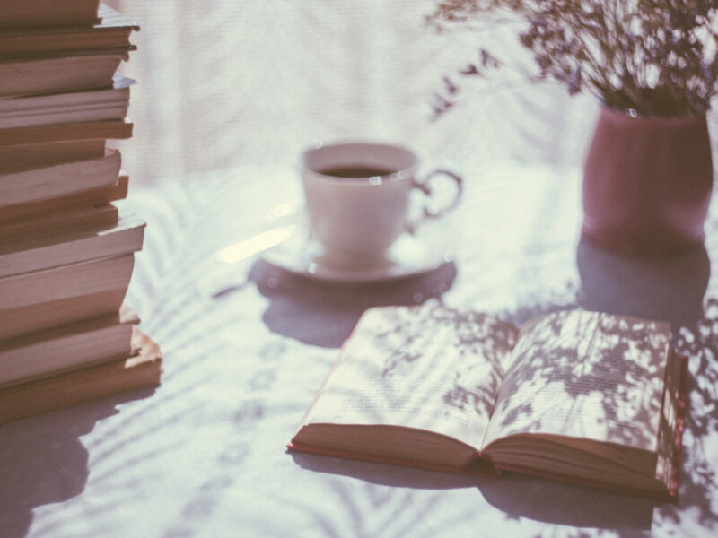 Bücher Neuerscheinungen im April 2017