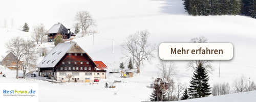 Abenteuer im Schnee! Top 5 Reiseziele für Familien-Urlaub im Winter (mit BestFewo) 