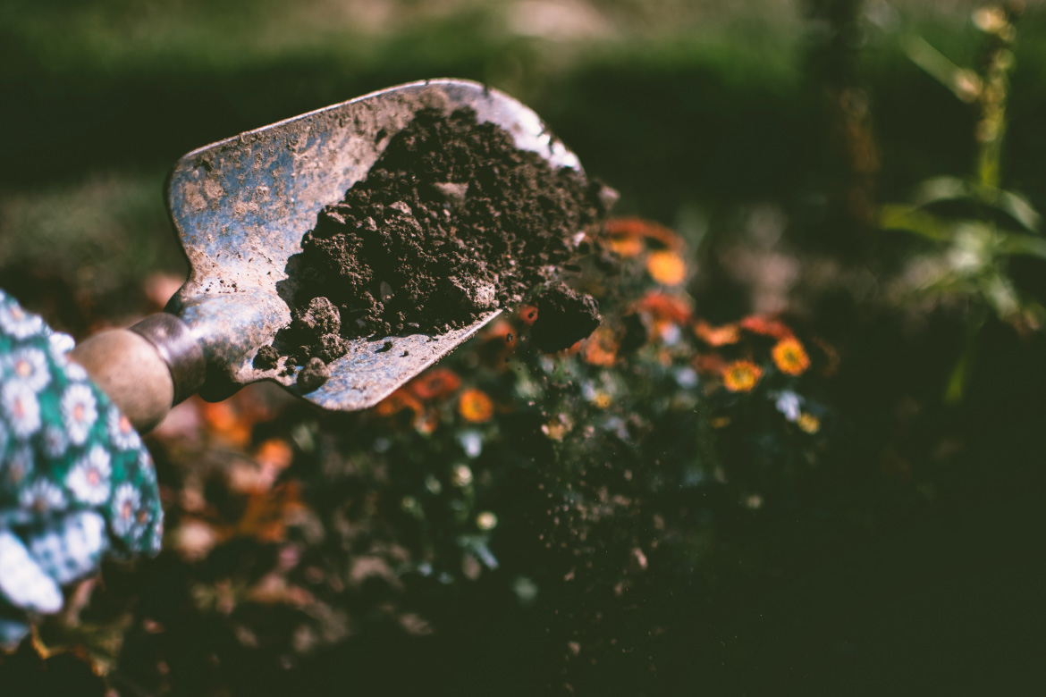 Endlich Gartenzeit! Aber bist du auch vor Tetanus geschützt?
