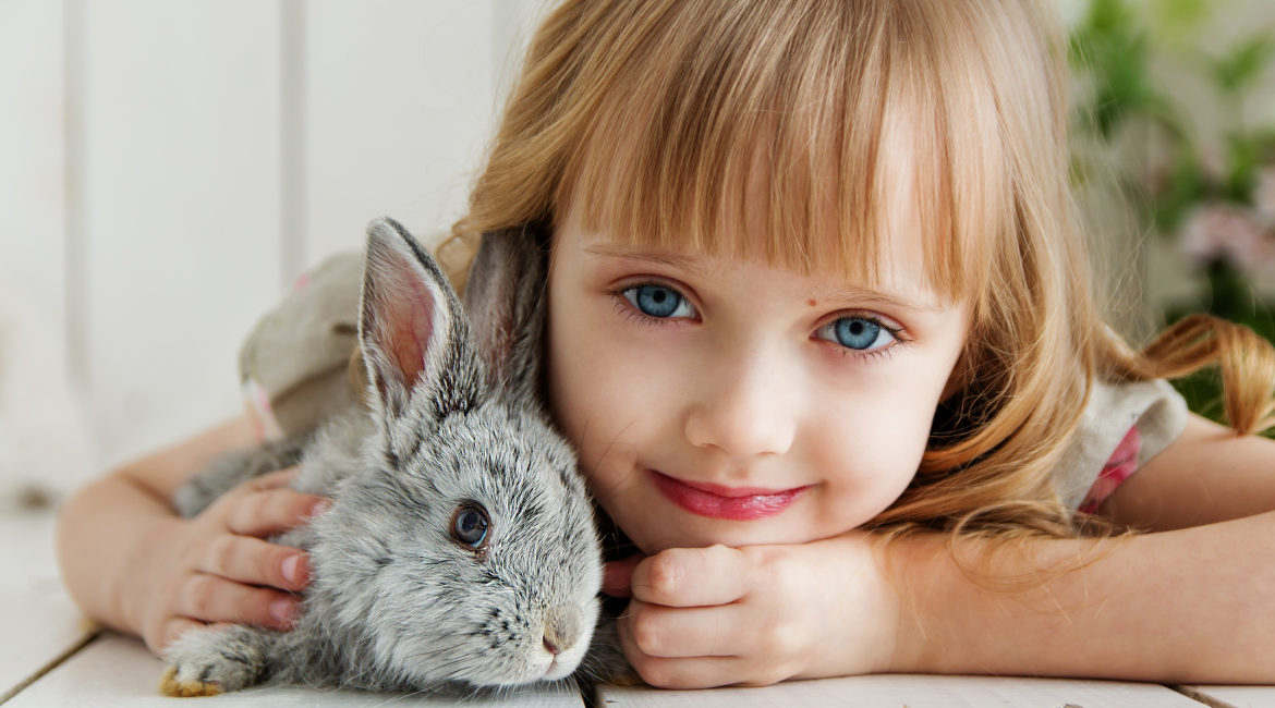 Haustiere für Kinder: 8 wichtige Tipps für Eltern – und Kinder