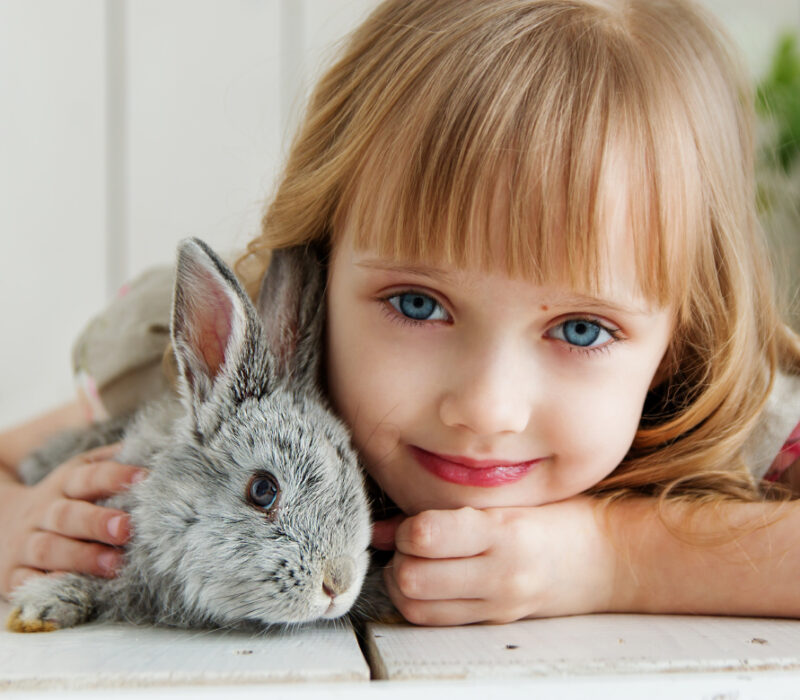 Haustiere für Kinder: 8 wichtige Tipps für Eltern – und Kinder